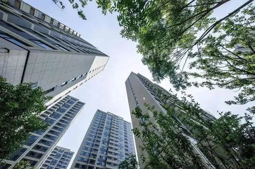 4600套 一个多月时间,这家房企交付了4座新盘