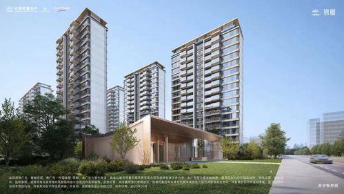 在成都楼市,这个产品 一时无两