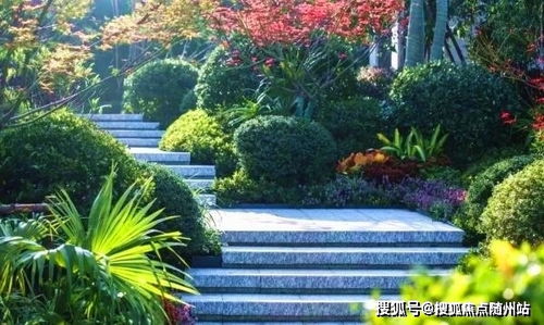 海宁 楼盘详情 官方网站 千万别错过了