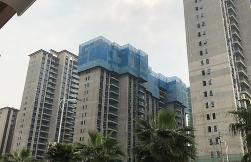 楼市调控保持定力，产品质量成房企竞争核心