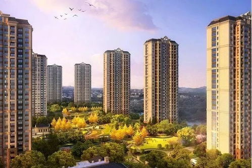 摇号购房人数从14万降到3.5万 萧山人,你还会继续吗