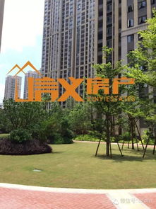 市中心地段,新兴楼盘 阳光丽兹公馆精品3房出售,每平还不用7800