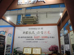 西区房交会盛大启幕，品质楼盘一览无余——高清组图直击现场